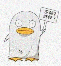 观众木棉头像